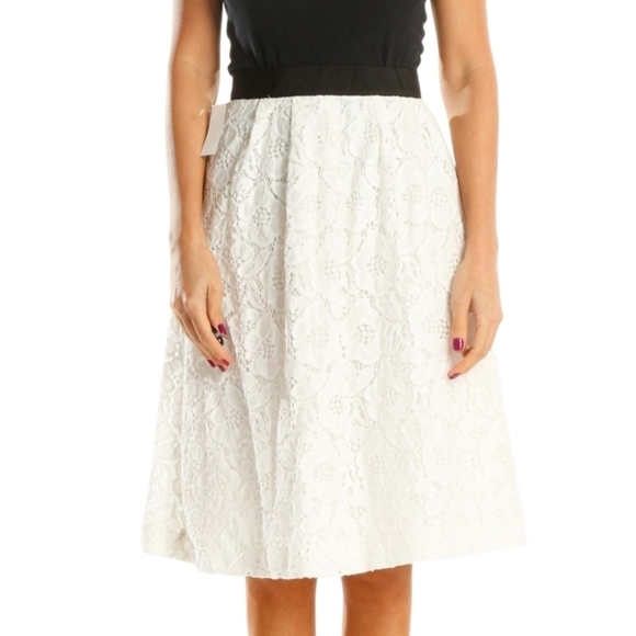 NEW Loft Cream Lace Overlay Skirt - Picture 1 of 11